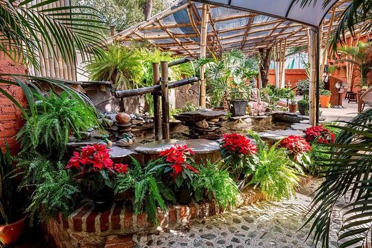 Mexican Wine Tasting Experience