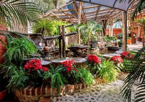 Mexican Wine Tasting Experience