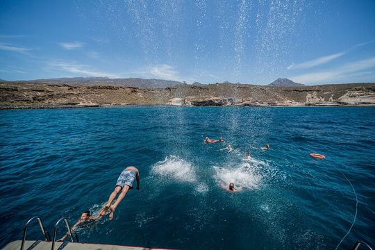 Royal Delfin 3H Dolphin & Whale Watching! Swimming & Lunch!