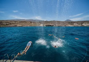 Royal Delfin 3H Dolphin & Whale Watching! Swimming & Lunch!