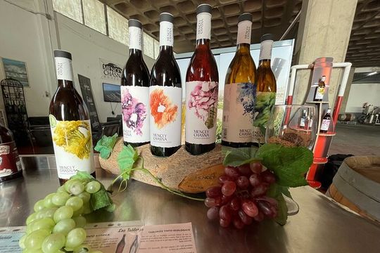 Tour Visiting banana plantation and winery in Tenerife