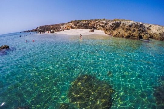 Isla Marietas Catamaran Tour! Full Day Nature Adventure