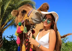 Camel riding experience on the shores of the Pacific Ocean