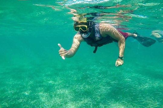 Basic Snorkel Experience from Cancun