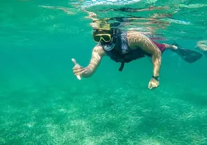Basic Snorkel Experience from Cancun