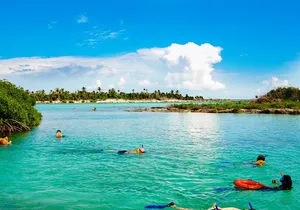 Riviera Maya Snorkeling Adventure: Lagoon, Cenotes Open & Cavern