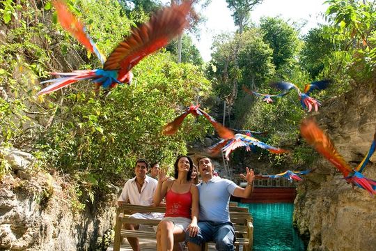 Private Tour Coba and Night Show in the Park Xcaret