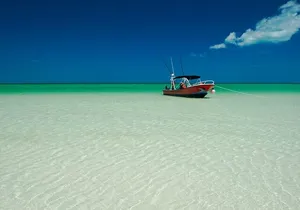 Holbox adventure and Pasion Island Cenote