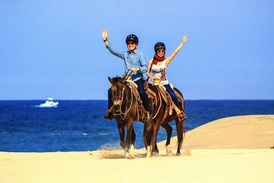 Cabo Horseback Riding on Migriño Beach