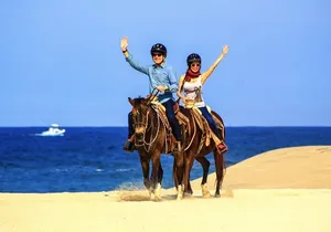 Cabo Horseback Riding on Migriño Beach