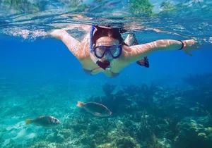 Basic Snorkel Experience In Cancun
