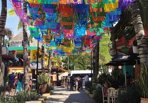 Sayulita Surfer Beach Town and Zarandeado with Seafood Grill