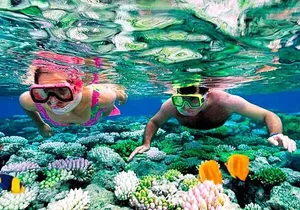 Reef Snorkel, underwater adventure in Puerto Morelos With Transportation & Lunch