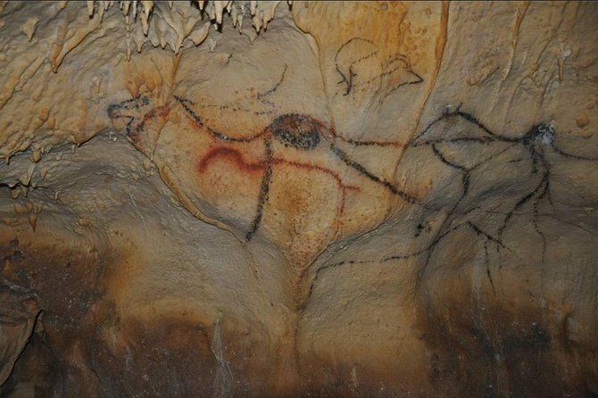 Sarlat : Private Tour to Prehistoric Cave + Castle by Exploreo24