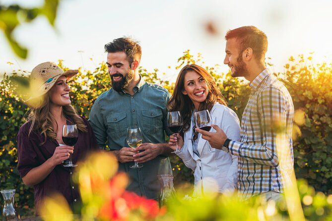 Private Full-Day Wine Heritage Tour from Strasbourg in Alsace
