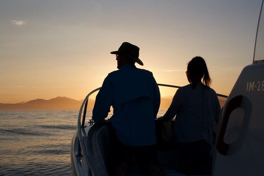 Sunset Cruise Whale Watching in San Jose del Cabo