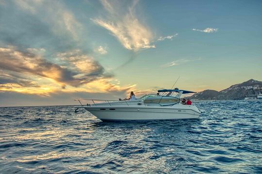 Private Whale Watching on Luxury Yacht in Cabo San Lucas