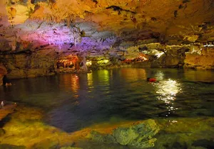 Experience this tour to Tulum, an artistic picture spot and cenotes adventure.