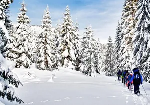 Snowshoe Through Vancouver's Winter Wonderland