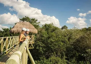Cancun Combo Tour: Zipline and Off-Road Buggy Adventure