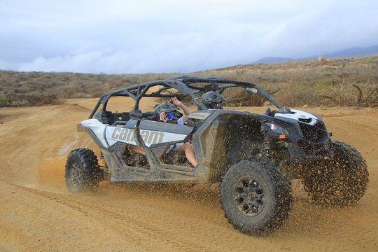 NEW! Off-Road Cabo Adventure: Beach & Desert Ride Tequila Tasting