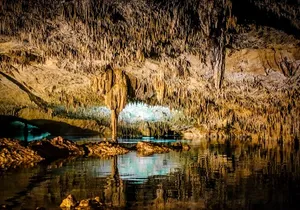 Magical adventure through Tulum. Cenotes, ruins and sculpture tour.