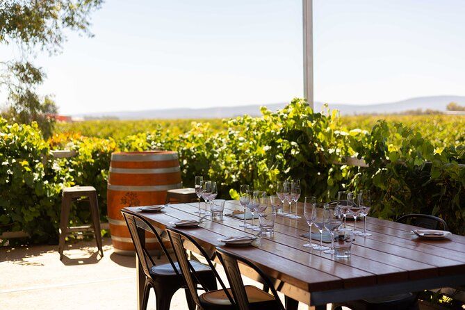 Wine Tasting Experience