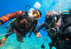 Discover Scuba Diving in Tenerife