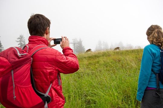 Canmore: Wilderness & Wildlife Tour - 2hr Walk