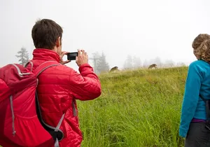 Canmore: Wilderness & Wildlife Tour - 2hr Walk