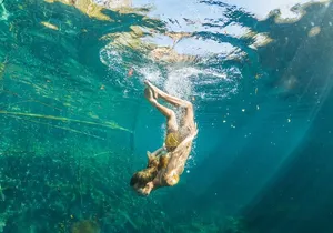 SUPER Tour Kaan Luum Lagoon, 2 different Cenotes. Lunch included