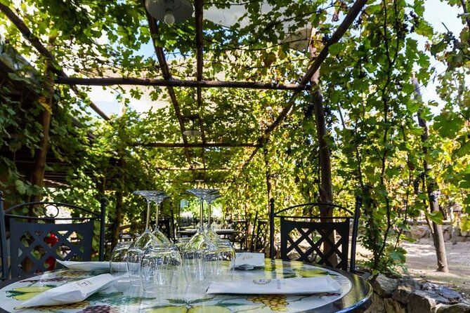 Wine Tasting Including Lunch