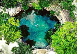 Swim in 4 different Cenotes in Casa Tortuga Park