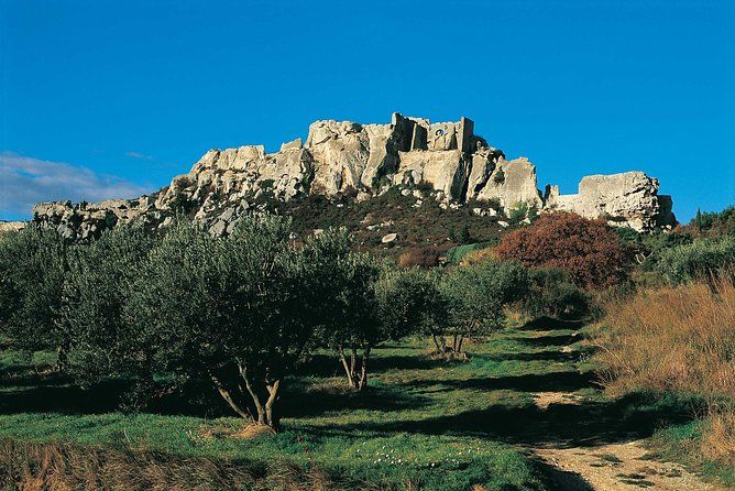 Full Day Best of Provence Tour from Avignon