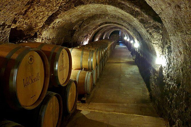Ribera del Duero:4 Wineries, tasting & Lunch included from Madrid
