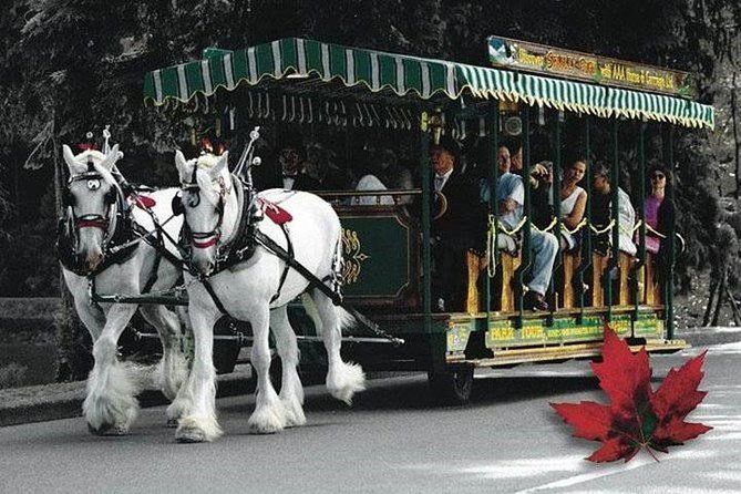 Best Selling Vancouver Sightseeing Tour 5 Hours(Private setting)