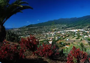 Special cruise tour Center and South La Palma (Price per car not per person)