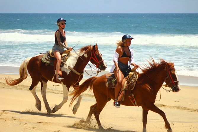 Beach and Desert Horseback Adventure in Playa Migriño + Tequila Tasting