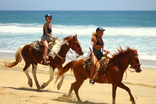Beach and Desert Horseback Adventure in Playa Migriño + Tequila Tasting