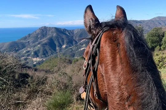 Horse ride on the coast of Monterosso al Mare Cinque Terre