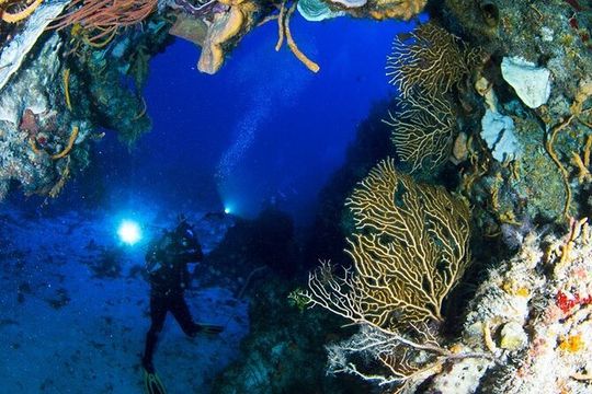 Underwater Museum & Reef Dive in Cancun