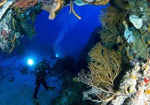 Underwater Museum & Reef Dive in Cancun