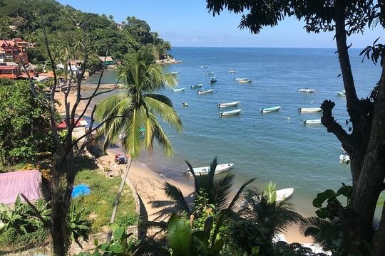 Puerto Vallarta's Yelapa Boat & Walking Tour
