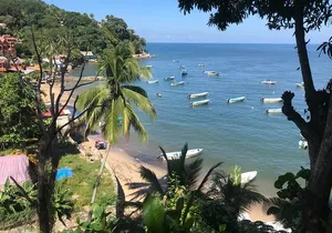 Puerto Vallarta's Yelapa Boat & Walking Tour