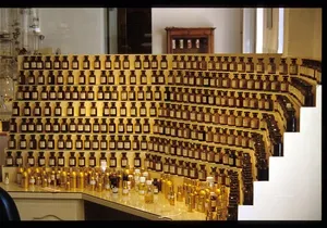 In the secret of perfumes and flowers-private tour full day-