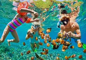 Nizuc Reef Snorkel Experience