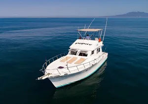 Custom 46' Boat in Puerto & Nuevo Vallarta