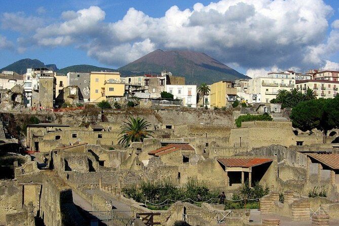 Herculaneum & Vesuvius Shuttle from Naples