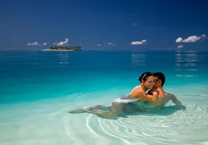 Contoy Caribbean Adventure! Round Transportation from Cancun