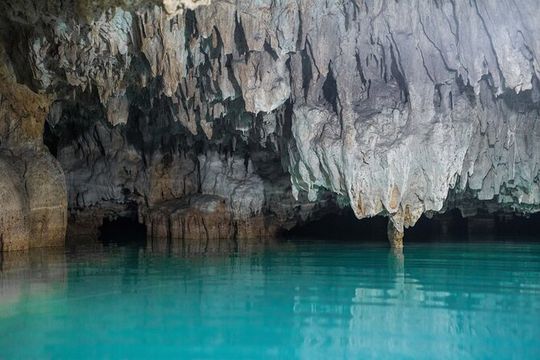 Tulum ruins, Swim with turtles and Cenote From Cancun